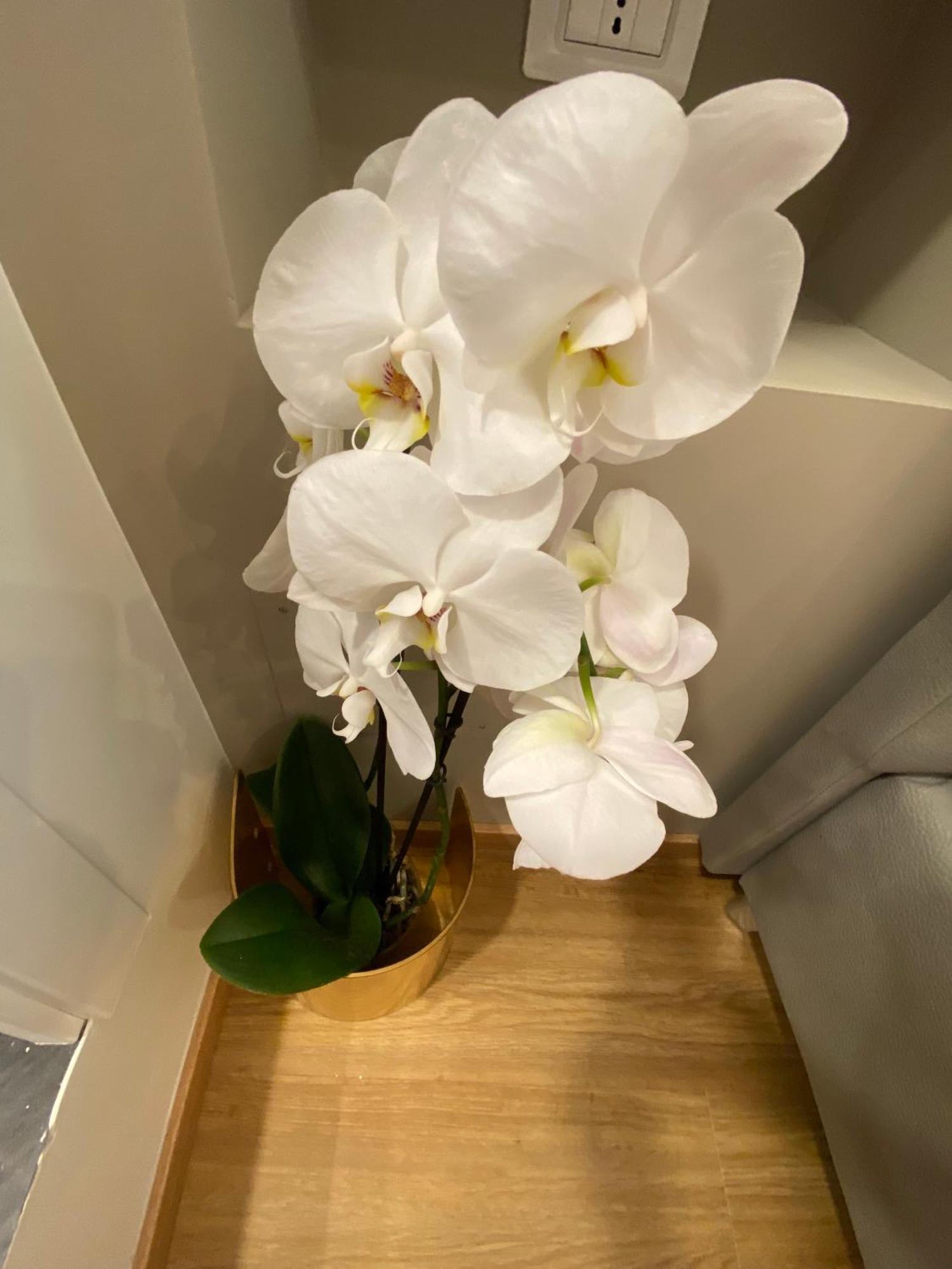 De Vince Suites - Luxury Rooms - Roma Termini Εξωτερικό φωτογραφία